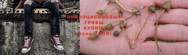 ALPHA PVP Богородск