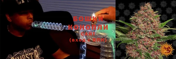 тгк Белокуриха