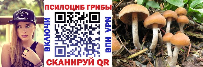 KRAKEN   дарнет шоп  Мыски  Псилоцибиновые грибы мицелий 
